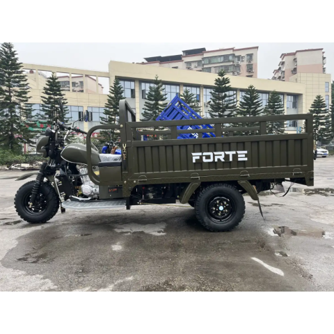 Трицикл вантажний ATV250ZH-T Forte Зелений