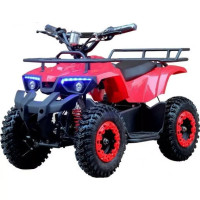 Квадроцикл акумуляторний FORTE ATV1000RB червоний