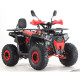 Квадроцикл FORTE ATV125G червоний