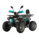 Квадроцикл FORTE ATV125P сіро-блакитний