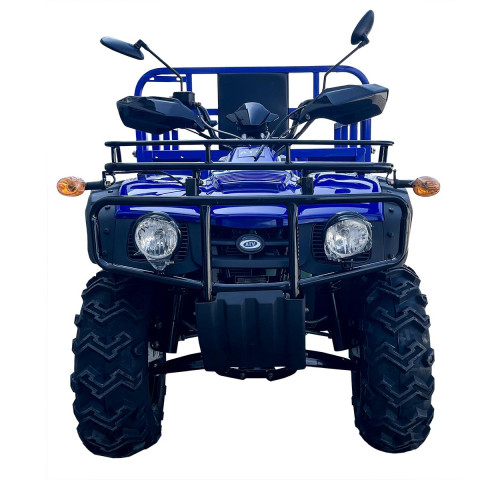 Квадроцикл FORTE ATV-250BS-T Синій
