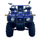 Квадроцикл FORTE ATV-250BS-T Синій