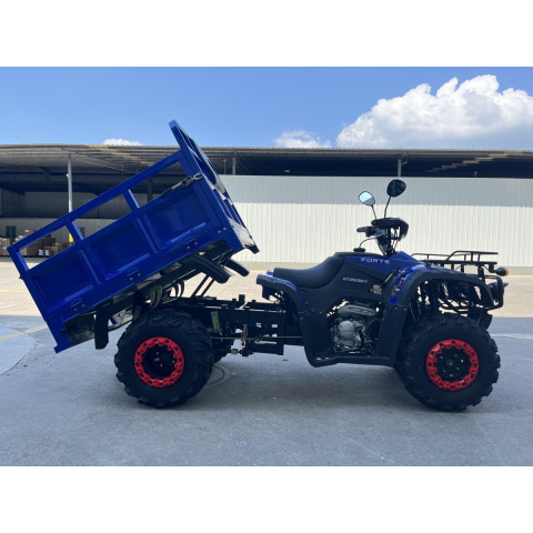 Квадроцикл FORTE ATV-250BS-T Синій