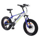Велоскутер акумуляторний Forte Rider 14