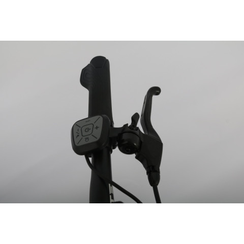 Велоскутер акумуляторний Forte Rider 14