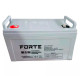 Акумулятор гелевий FBG12-100 Forte
