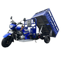 Трицикл вантажний ATV300ZH-T Forte Синій