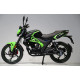 Мотоцикл FT250-X6 Forte Черно-зеленый