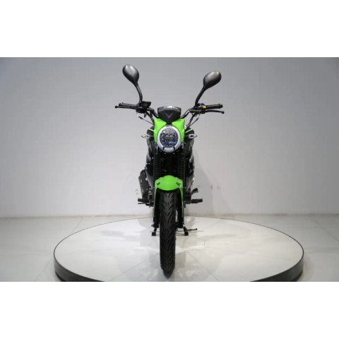 Мотоцикл FT250-X6 Forte Черно-зеленый