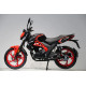 Мотоцикл FT250-X6 Forte Черно-красный