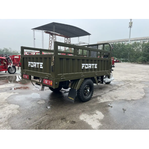 Трицикл вантажний ATV250ZH-T Forte Зелений