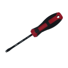 Викрутка HAISSER S2 SL6/100mm 49130