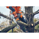Пила Husqvarna T542iXP