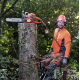 Бензопила Husqvarna 545 II