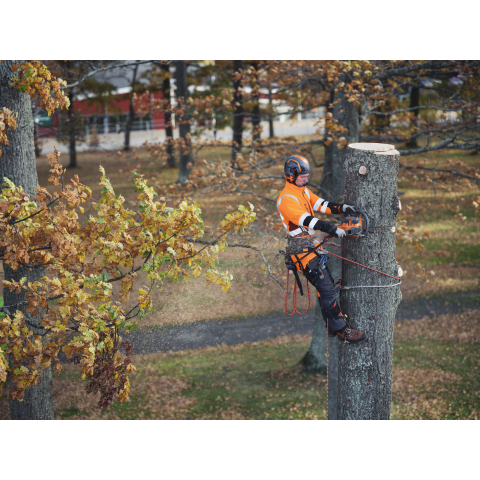 Пила Husqvarna 550iXP
